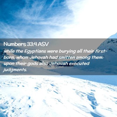 Picture 02 - Numbers 33:4 ASV - while the Egyptians were burying all their - Bible Verse Picture