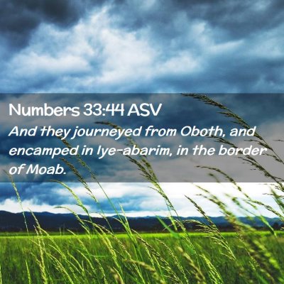 Picture 02 - Numbers 33:44 ASV - And they journeyed from Oboth, and encamped in - Bible Verse Picture