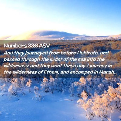 Picture 02 - Numbers 33:8 ASV - And they journeyed from before Hahiroth, and - Bible Verse Picture