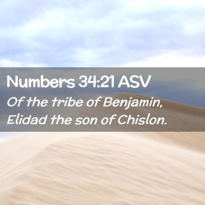 Picture 02 - Numbers 34:21 ASV - Of the tribe of Benjamin, Elidad the son of - Bible Verse Picture