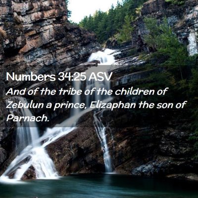 Picture 02 - Numbers 34:25 ASV - And of the tribe of the children of Zebulun a - Bible Verse Picture
