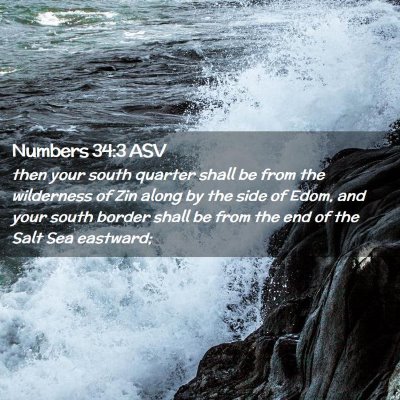 Picture 02 - Numbers 34:3 ASV - then your south quarter shall be from the - Bible Verse Picture