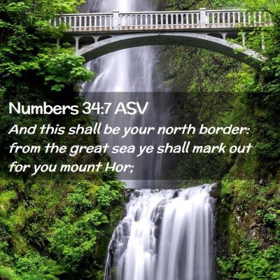 Picture 02 - Numbers 34:7 ASV - And this shall be your north border: from the - Bible Verse Picture