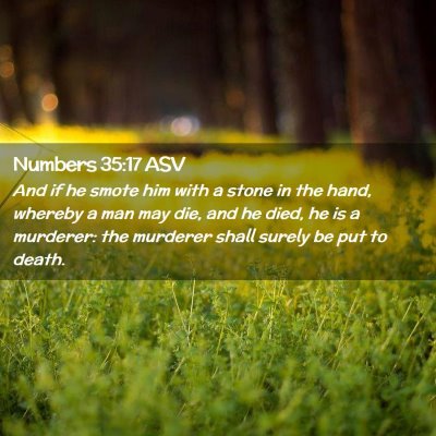 Picture 02 - Numbers 35:17 ASV - And if he smote him with a stone in the hand, - Bible Verse Picture