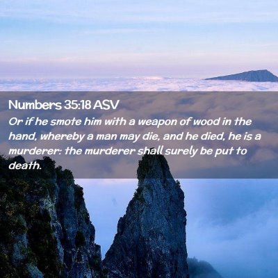 Picture 02 - Numbers 35:18 ASV - Or if he smote him with a weapon of wood in the - Bible Verse Picture