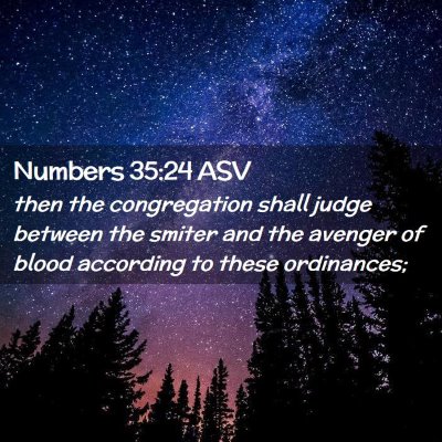 Picture 02 - Numbers 35:24 ASV - then the congregation shall judge between the - Bible Verse Picture