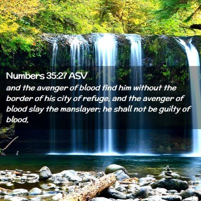Picture 02 - Numbers 35:27 ASV - and the avenger of blood find him without the - Bible Verse Picture