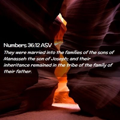 Picture 02 - Numbers 36:12 ASV - They were married into the families of the sons - Bible Verse Picture