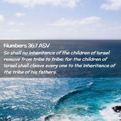 Picture 02 - Numbers 36:7 ASV - So shall no inheritance of the children of Israel - Bible Verse Picture