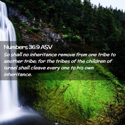 Picture 02 - Numbers 36:9 ASV - So shall no inheritance remove from one tribe to - Bible Verse Picture