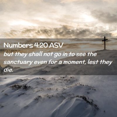 Picture 02 - Numbers 4:20 ASV - but they shall not go in to see the sanctuary - Bible Verse Picture