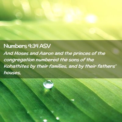Picture 02 - Numbers 4:34 ASV - And Moses and Aaron and the princes of the - Bible Verse Picture