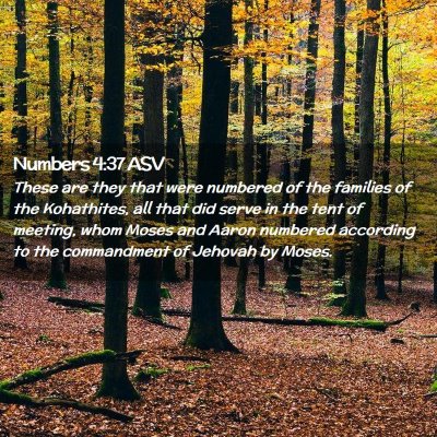 Picture 02 - Numbers 4:37 ASV - These are they that were numbered of the families - Bible Verse Picture