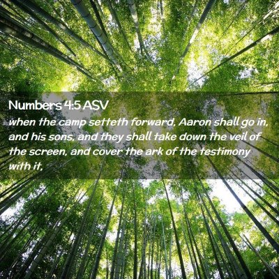 Picture 02 - Numbers 4:5 ASV - when the camp setteth forward, Aaron shall go in, - Bible Verse Picture