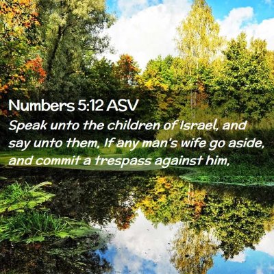 Picture 02 - Numbers 5:12 ASV - Speak unto the children of Israel, and say unto - Bible Verse Picture