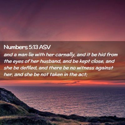 Picture 02 - Numbers 5:13 ASV - and a man lie with her carnally, and it be hid - Bible Verse Picture