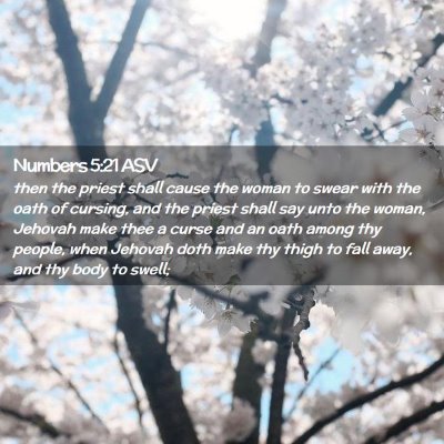 Picture 02 - Numbers 5:21 ASV - then the priest shall cause the woman to swear - Bible Verse Picture