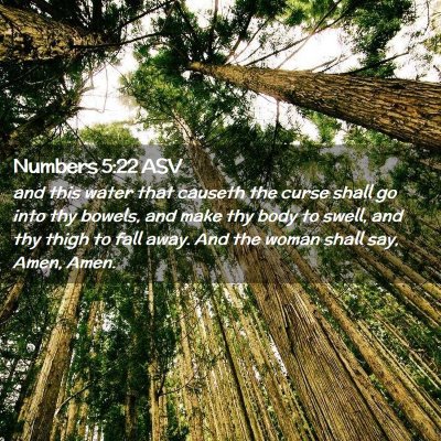 Picture 02 - Numbers 5:22 ASV - and this water that causeth the curse shall go - Bible Verse Picture