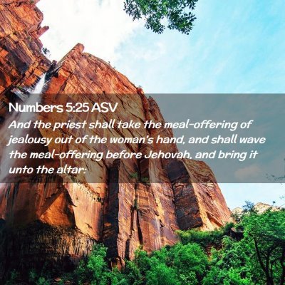 Picture 02 - Numbers 5:25 ASV - And the priest shall take the meal-offering of - Bible Verse Picture