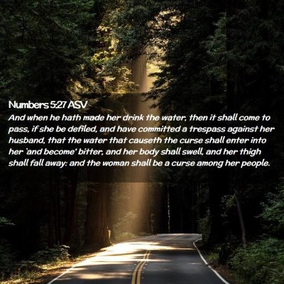 Picture 02 - Numbers 5:27 ASV - And when he hath made her drink the water, then - Bible Verse Picture