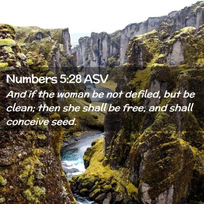 Picture 02 - Numbers 5:28 ASV - And if the woman be not defiled, but be clean; - Bible Verse Picture