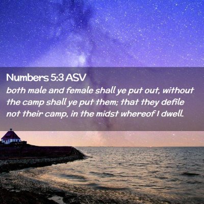 Picture 02 - Numbers 5:3 ASV - both male and female shall ye put out, without - Bible Verse Picture
