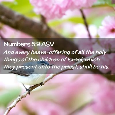 Picture 02 - Numbers 5:9 ASV - And every heave-offering of all the holy things - Bible Verse Picture