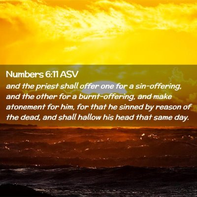 Picture 02 - Numbers 6:11 ASV - and the priest shall offer one for a - Bible Verse Picture