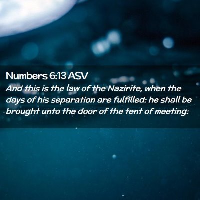 Picture 02 - Numbers 6:13 ASV - And this is the law of the Nazirite, when the - Bible Verse Picture