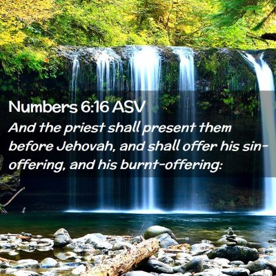 Picture 02 - Numbers 6:16 ASV - And the priest shall present them before Jehovah, - Bible Verse Picture