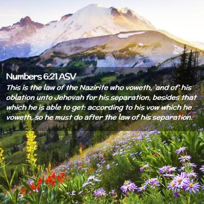 Picture 02 - Numbers 6:21 ASV - This is the law of the Nazirite who voweth, `and - Bible Verse Picture