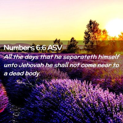 Picture 02 - Numbers 6:6 ASV - All the days that he separateth himself unto - Bible Verse Picture