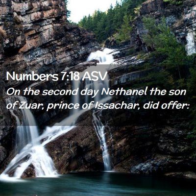 Picture 02 - Numbers 7:18 ASV - On the second day Nethanel the son of Zuar, - Bible Verse Picture