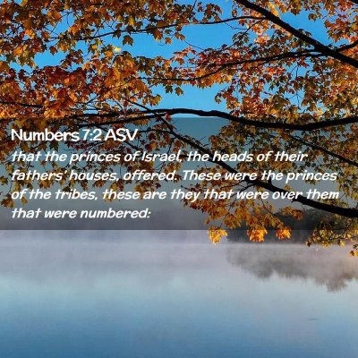 Picture 02 - Numbers 7:2 ASV - that the princes of Israel, the heads of their - Bible Verse Picture