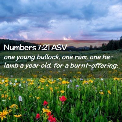Picture 02 - Numbers 7:21 ASV - one young bullock, one ram, one he-lamb a year - Bible Verse Picture