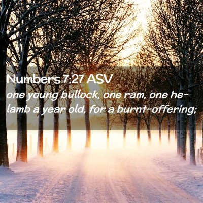 Picture 02 - Numbers 7:27 ASV - one young bullock, one ram, one he-lamb a year - Bible Verse Picture