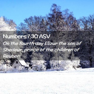 Picture 02 - Numbers 7:30 ASV - On the fourth day Elizur the son of Shedeur, - Bible Verse Picture