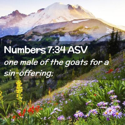 Picture 02 - Numbers 7:34 ASV - one male of the goats for a - Bible Verse Picture
