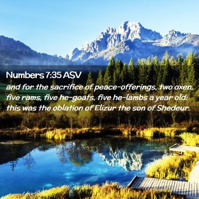 Picture 02 - Numbers 7:35 ASV - and for the sacrifice of peace-offerings, two - Bible Verse Picture