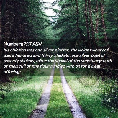 Picture 02 - Numbers 7:37 ASV - his oblation was one silver platter, the weight - Bible Verse Picture