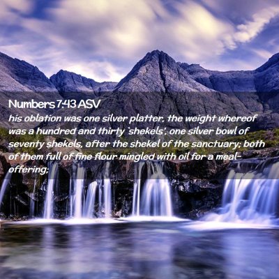 Picture 02 - Numbers 7:43 ASV - his oblation was one silver platter, the weight - Bible Verse Picture
