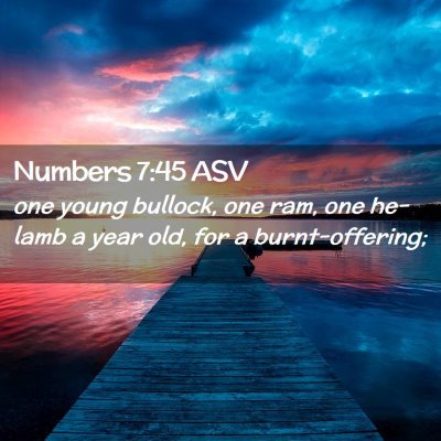 Picture 02 - Numbers 7:45 ASV - one young bullock, one ram, one he-lamb a year - Bible Verse Picture