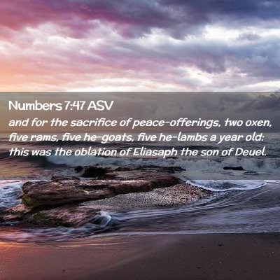 Picture 02 - Numbers 7:47 ASV - and for the sacrifice of peace-offerings, two - Bible Verse Picture
