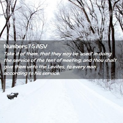Picture 02 - Numbers 7:5 ASV - Take it of them, that they may be `used' in doing - Bible Verse Picture