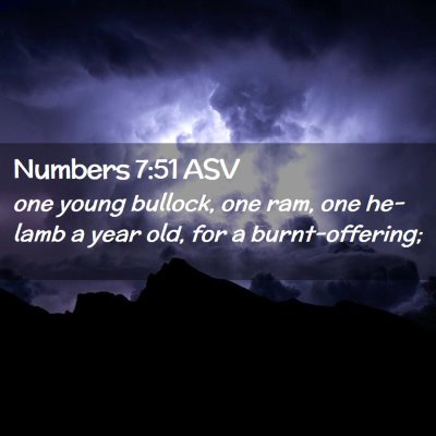 Picture 02 - Numbers 7:51 ASV - one young bullock, one ram, one he-lamb a year - Bible Verse Picture