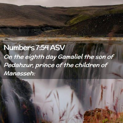 Picture 02 - Numbers 7:54 ASV - On the eighth day Gamaliel the son of Pedahzur, - Bible Verse Picture