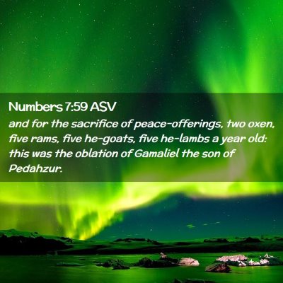 Picture 02 - Numbers 7:59 ASV - and for the sacrifice of peace-offerings, two - Bible Verse Picture