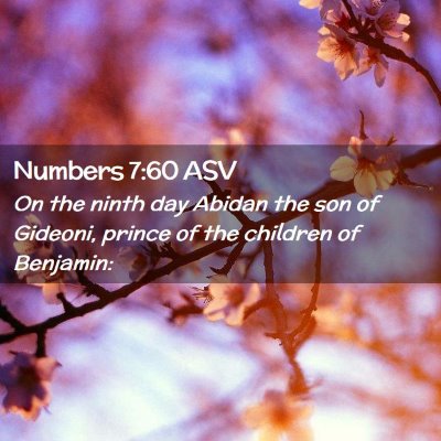 Picture 02 - Numbers 7:60 ASV - On the ninth day Abidan the son of Gideoni, - Bible Verse Picture