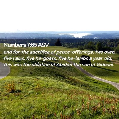 Picture 02 - Numbers 7:65 ASV - and for the sacrifice of peace-offerings, two - Bible Verse Picture