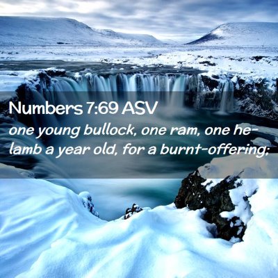 Picture 02 - Numbers 7:69 ASV - one young bullock, one ram, one he-lamb a year - Bible Verse Picture